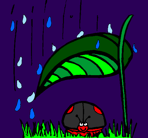 Joaninha protegida da chuva