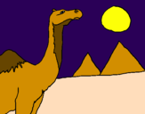 Desenho Camelo pintado por LUCAS FORTE
