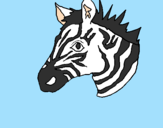 Desenho Zebra II pintado por Beatrizkowaski