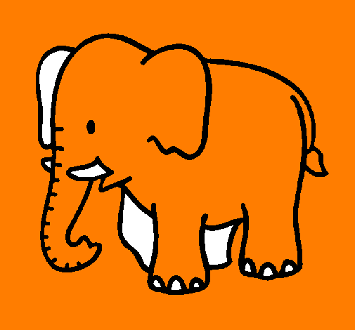 Elefante bebé