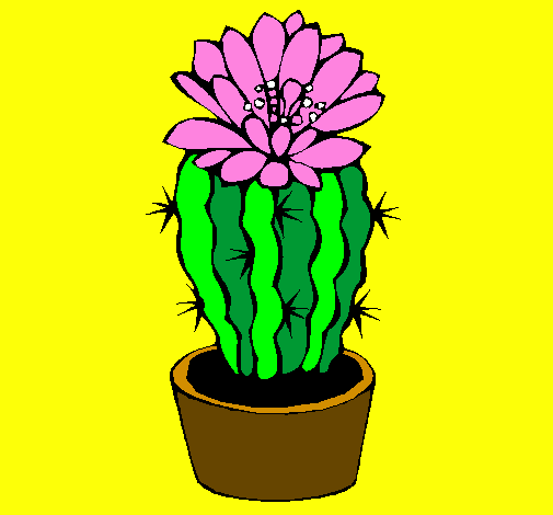 Desenho de Cacto com flor pintado e colorido por Usuário não registrado o  dia 15 de Agosto do 2010