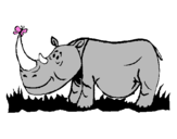 Desenho Rinoceronte e borboleta pintado por rino