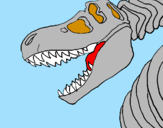 Desenho Esqueleto tiranossauro rex pintado por xande