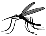 Desenho Mosquito pintado por mosquito olho branco