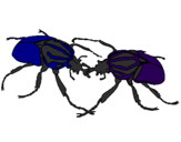 Desenho Escaravelhos pintado por lucas