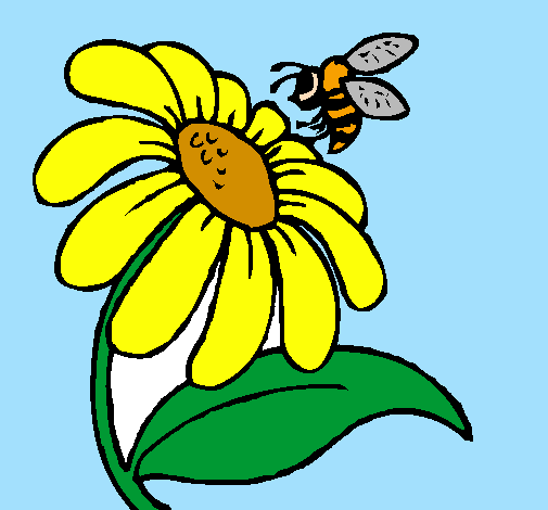 Margarida com abelha