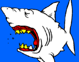 Desenho Tubarão pintado por jose