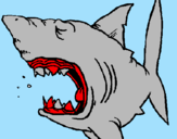 Desenho Tubarão pintado por necas