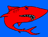 Desenho Tubarão pintado por cio5
