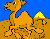 Desenho Camelo pintado por Aarón