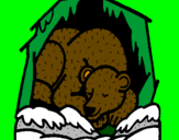 Desenho Urso a hibernar pintado por Gabriele