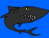 Desenho Tubarão pintado por lucas