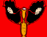Desenho Vagina pintado por zxrtd