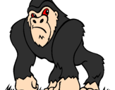 Desenho Gorila pintado por igor