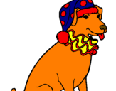 Desenho Cão palhaço pintado por beatriz
