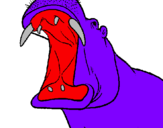 Desenho Hipopótamo com a boca aberta pintado por brunao