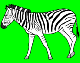 Desenho Zebra pintado por lucas