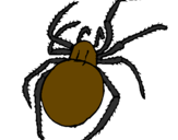 Desenho Aranha venenosa pintado por gabrieli  e gian lucas
