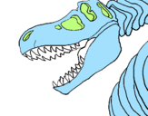 Desenho Esqueleto tiranossauro rex pintado por diogo