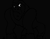 Desenho Gorila pintado por Nadim_Bittar