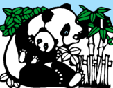 Desenho Mamã panda pintado por wittmann
