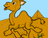 Desenho Camelo pintado por artur