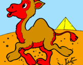 Desenho Camelo pintado por Gabriel