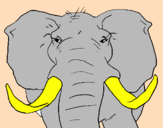 Desenho Elefante africano pintado por layene