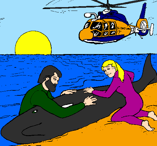 Resgate baleia