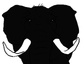 Desenho Elefante africano pintado por GONÇALO