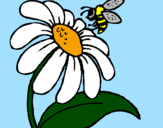 Desenho Margarida com abelha pintado por barbara