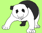 Desenho Urso panda pintado por Onda