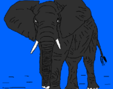 Desenho Elefante pintado por vbj