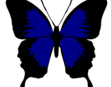 Desenho Borboleta com asas negras pintado por Cristina