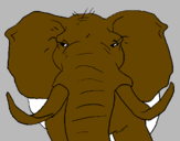 Desenho Elefante africano pintado por gamaliel