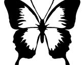 Desenho Borboleta com asas negras pintado por borb