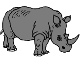 Desenho Rinoceronte pintado por andré