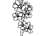 Desenho Flores de campo pintado por dfgd