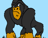 Desenho Gorila pintado por josh
