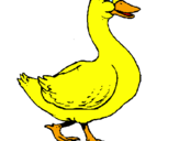 Desenho Pato pintado por pata