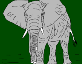 Desenho Elefante pintado por gabriel gomes