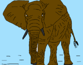 Desenho Elefante pintado por A. Irú