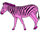 Desenho Zebra pintado por cooda