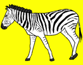 Desenho Zebra pintado por gabriel ispiriti o corcel