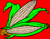 Desenho Espiga de milho  pintado por rafael