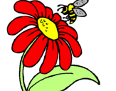 Desenho Margarida com abelha pintado por DANIEL