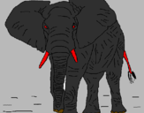 Desenho Elefante pintado por boaz