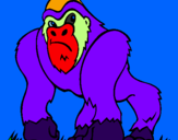 Desenho Gorila pintado por cio5