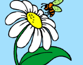 Desenho Margarida com abelha pintado por MARGARIDA
