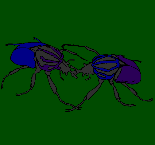 Escaravelhos